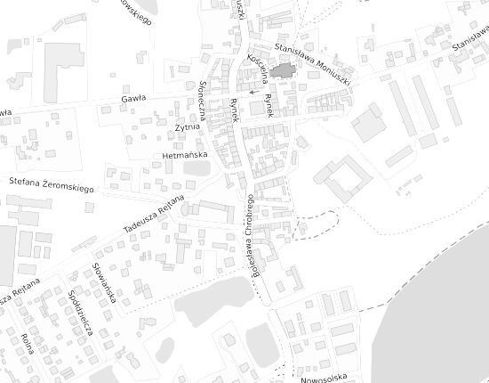 Mapa z adresem organizacji