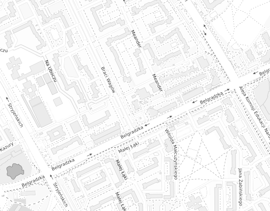 Mapa z adresem organizacji