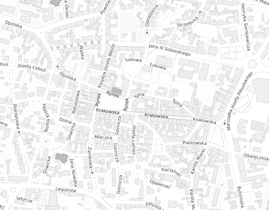 Mapa z adresem organizacji