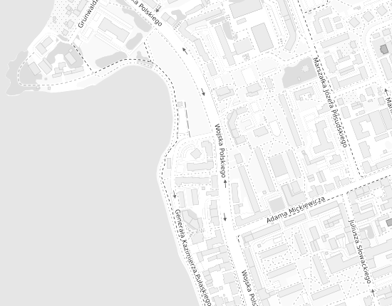 Mapa z adresem organizacji