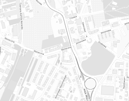 Mapa z adresem organizacji