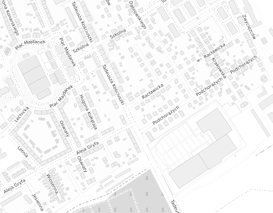 Mapa z adresem organizacji
