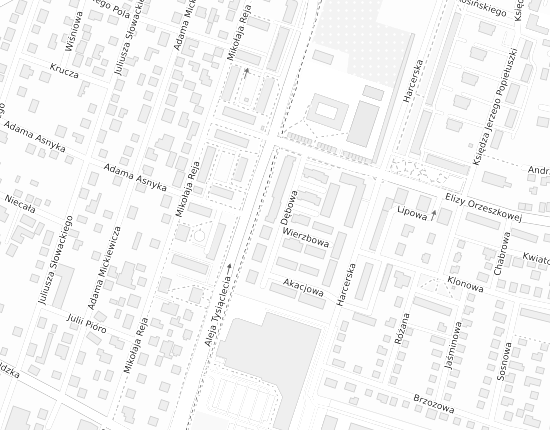 Mapa z adresem organizacji