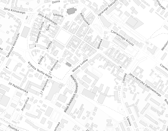 Mapa z adresem organizacji