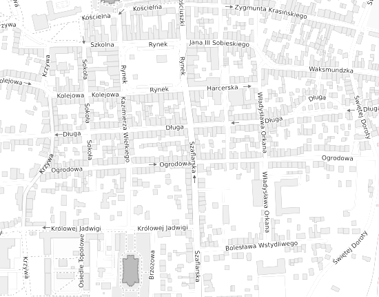 Mapa z adresem organizacji