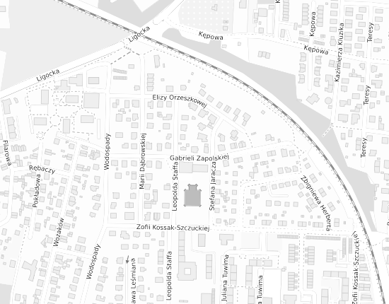 Mapa z adresem organizacji