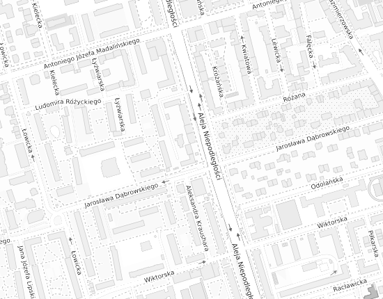 Mapa z adresem organizacji