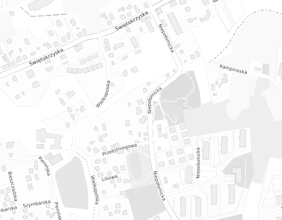 Mapa z adresem organizacji