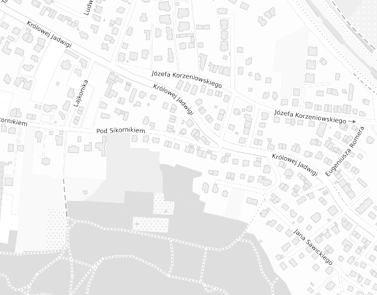 Mapa z adresem organizacji