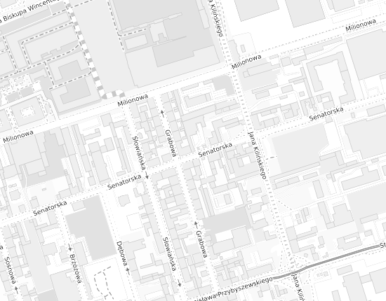Mapa z adresem organizacji