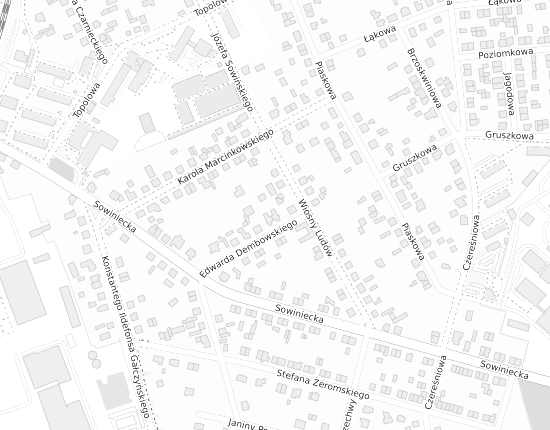 Mapa z adresem organizacji