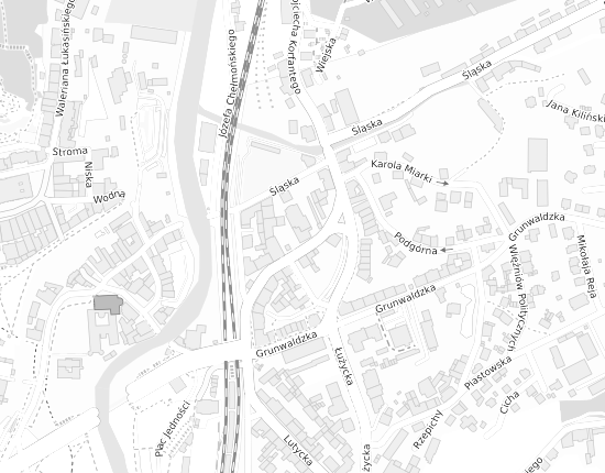 Mapa z adresem organizacji
