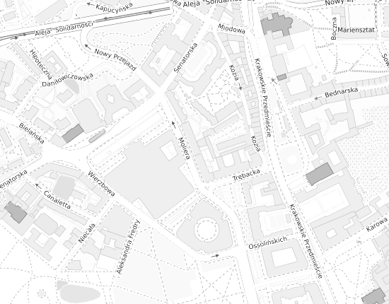 Mapa z adresem organizacji