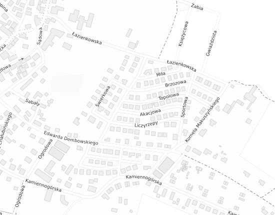 Mapa z adresem organizacji