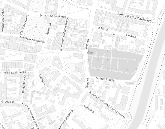 Mapa z adresem organizacji