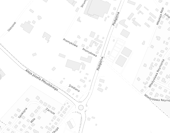 Mapa z adresem organizacji