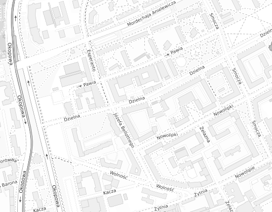 Mapa z adresem organizacji