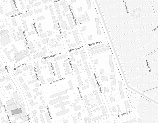 Mapa z adresem organizacji
