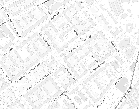 Mapa z adresem organizacji