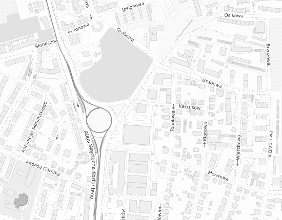 Mapa z adresem organizacji