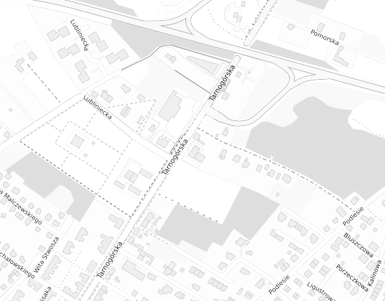 Mapa z adresem organizacji
