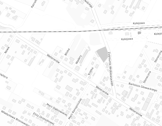 Mapa z adresem organizacji