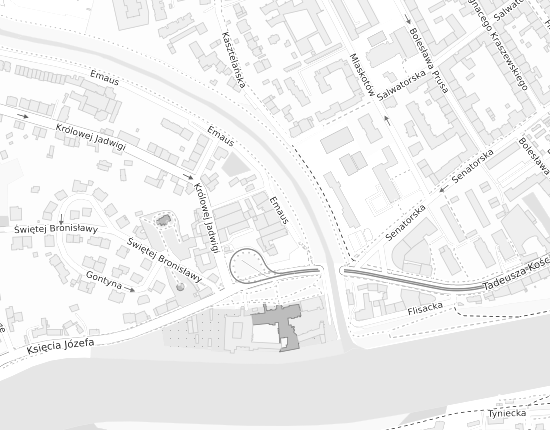 Mapa z adresem organizacji
