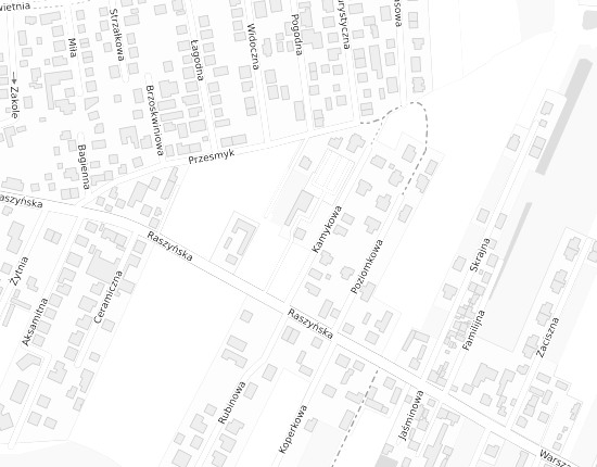 Mapa z adresem organizacji