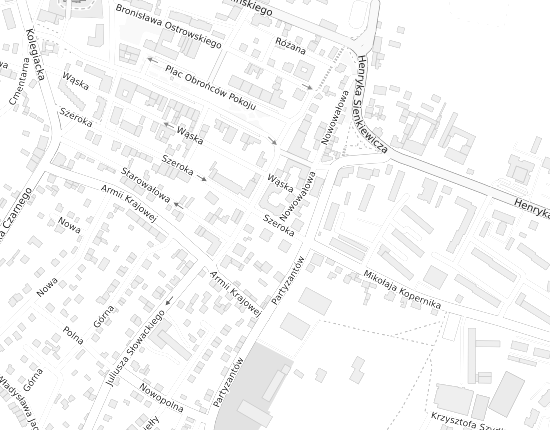 Mapa z adresem organizacji