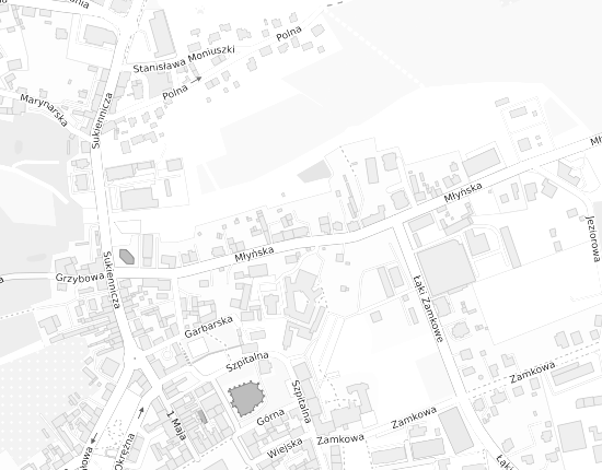 Mapa z adresem organizacji