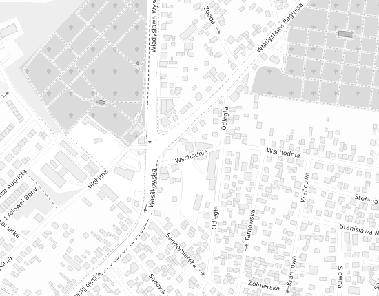 Mapa z adresem organizacji