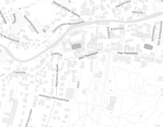 Mapa z adresem organizacji