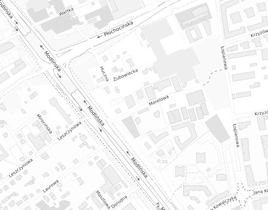 Mapa z adresem organizacji