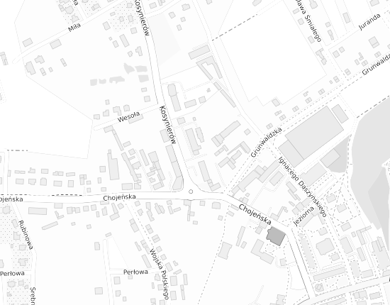 Mapa z adresem organizacji