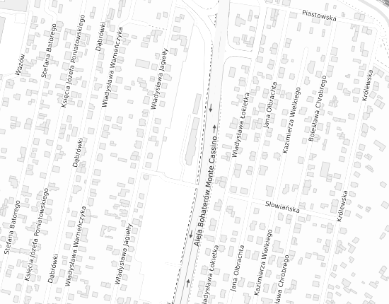Mapa z adresem organizacji