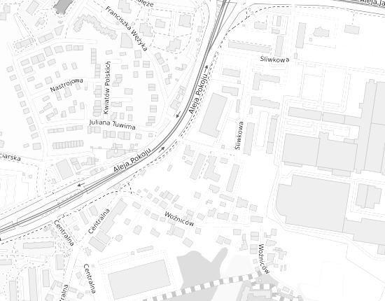 Mapa z adresem organizacji