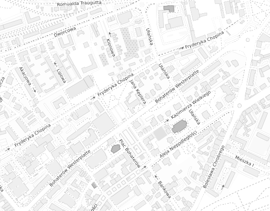 Mapa z adresem organizacji
