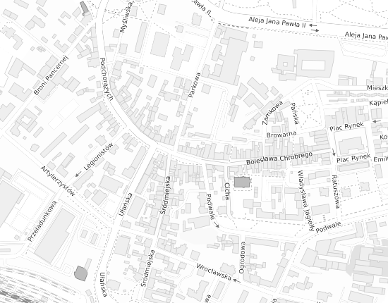 Mapa z adresem organizacji