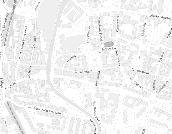 Mapa z adresem organizacji