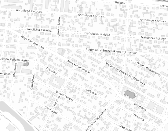 Mapa z adresem organizacji