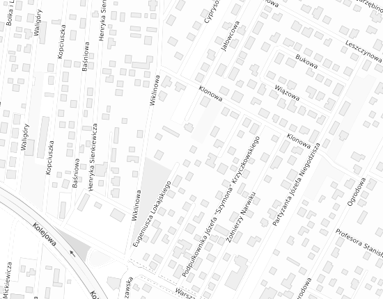 Mapa z adresem organizacji