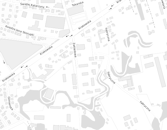 Mapa z adresem organizacji