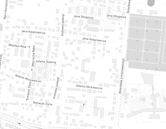 Mapa z adresem organizacji