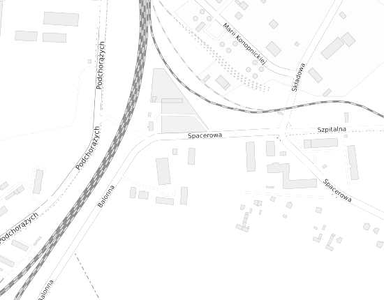 Mapa z adresem organizacji