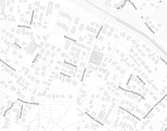 Mapa z adresem organizacji