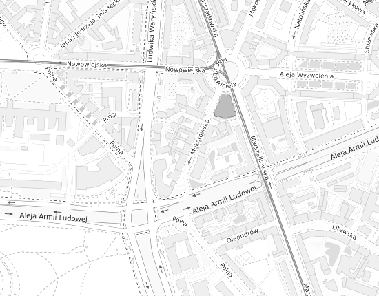 Mapa z adresem organizacji