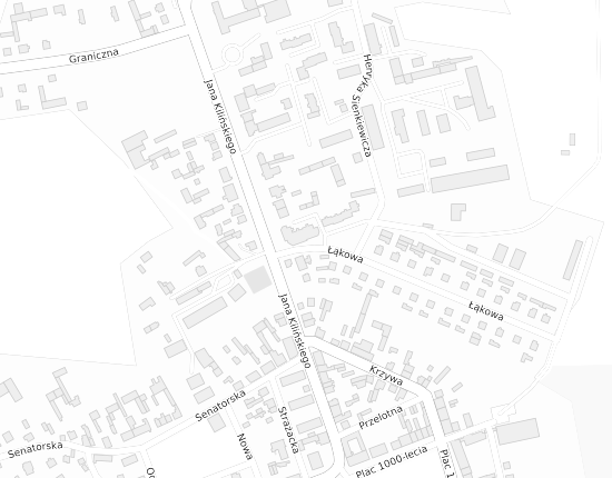 Mapa z adresem organizacji