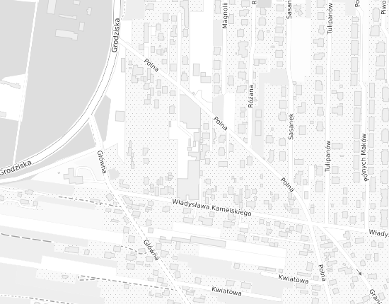 Mapa z adresem organizacji