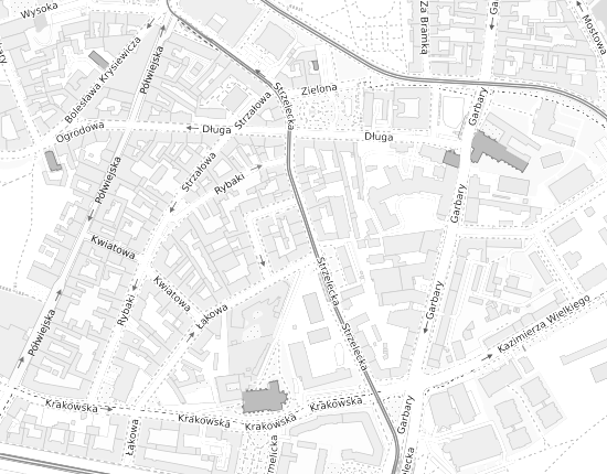 Mapa z adresem organizacji