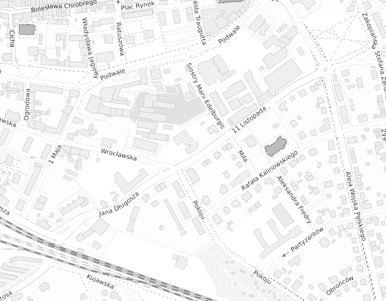 Mapa z adresem organizacji